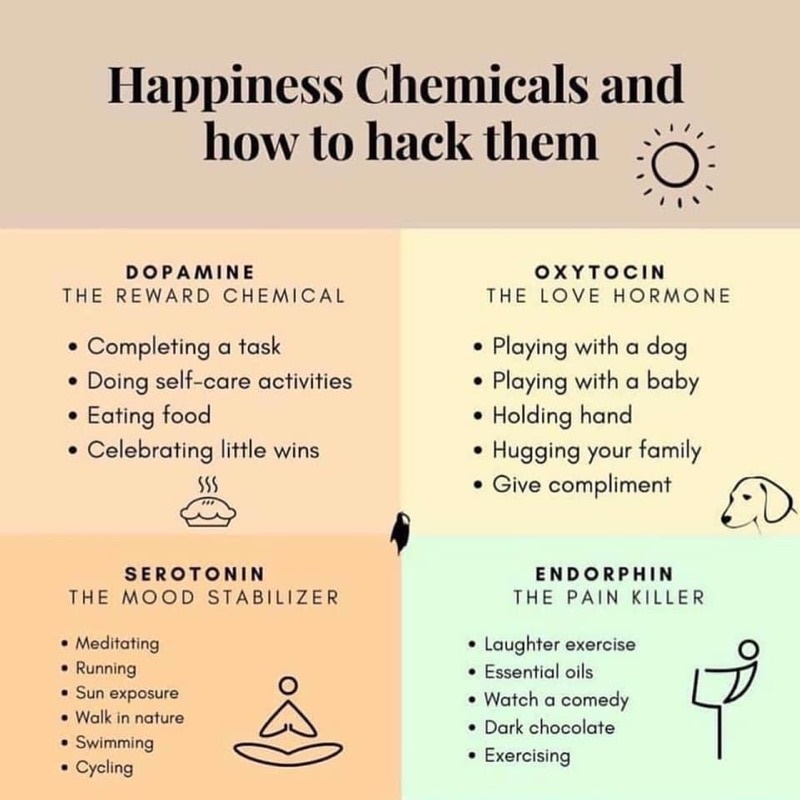 快乐的化学物质